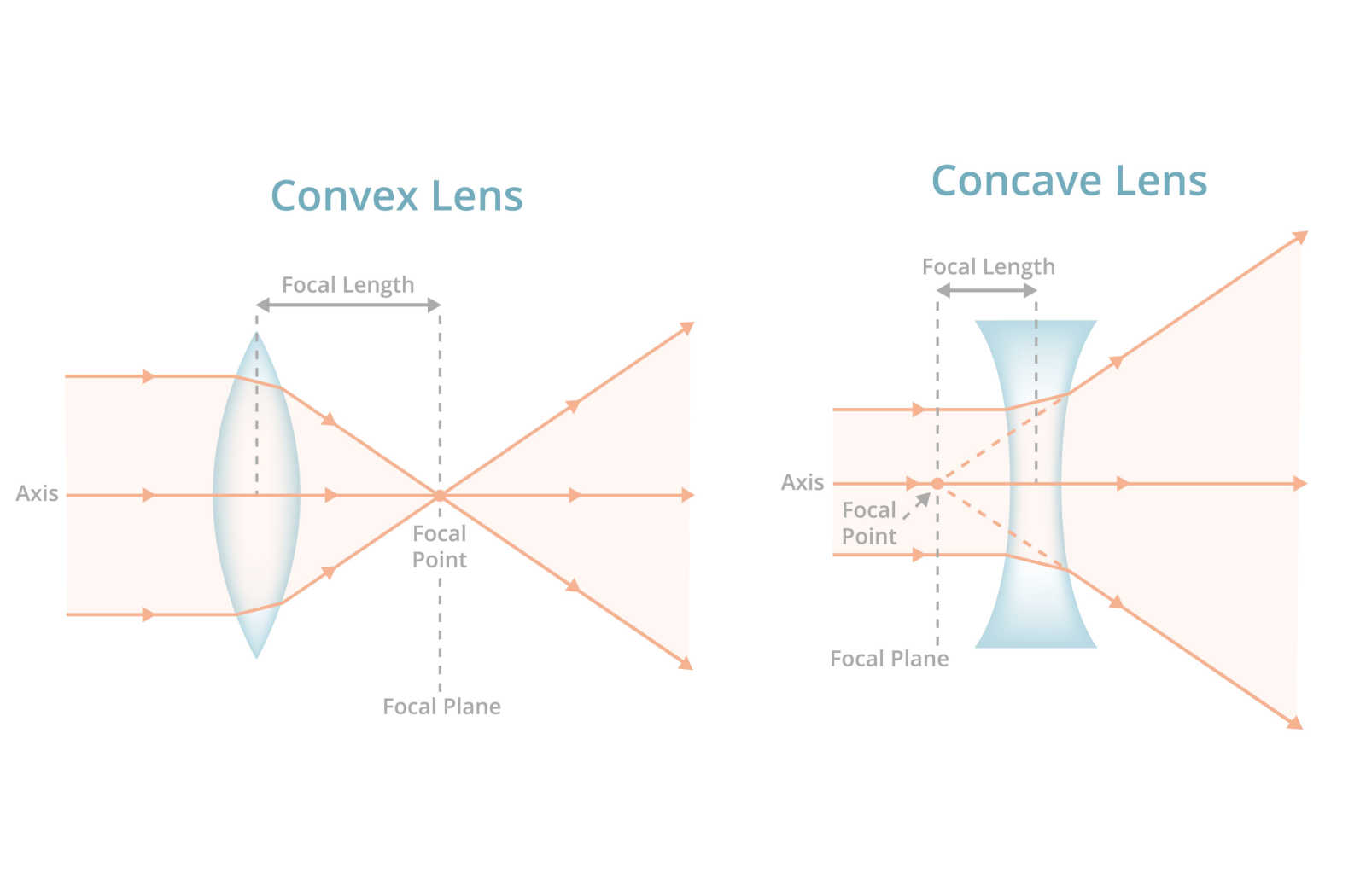 Graphical cross section of convex and concave lenses, showing the axes lines, focal length, focal point, and focal plane.