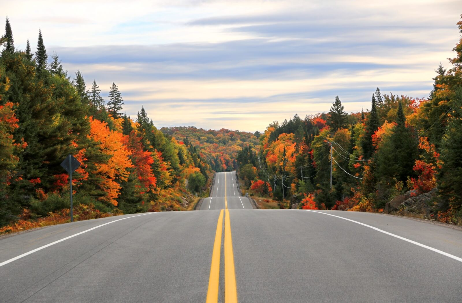 View of winding highway through a tree-lined park in the fall, demonstrating depth perception.